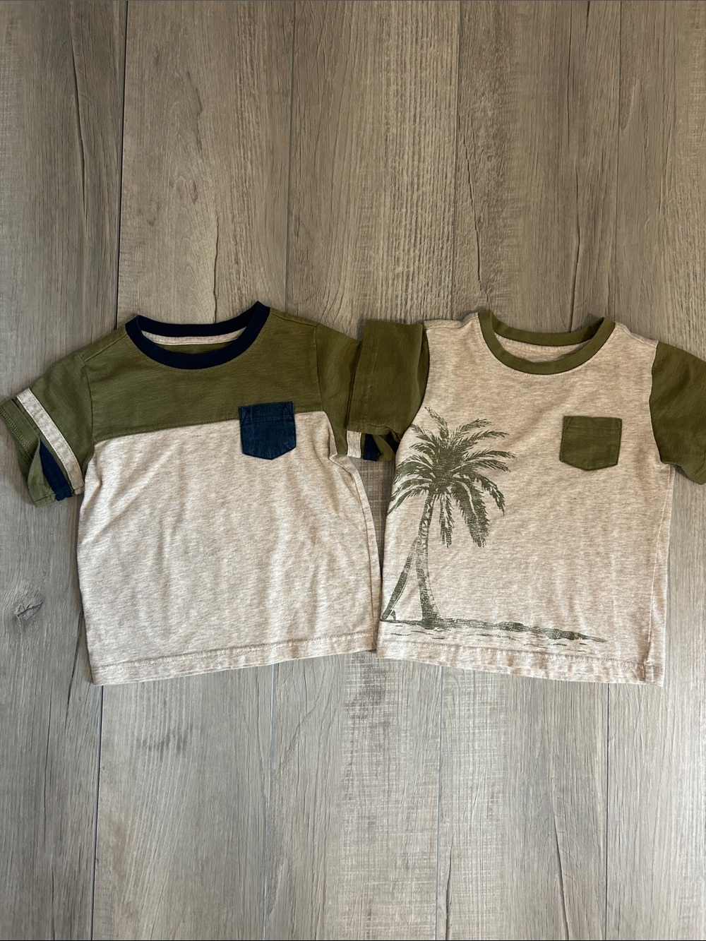 Bundle of (2) Wonder Nation Toddler Boys T-Shirts, Size 4T
